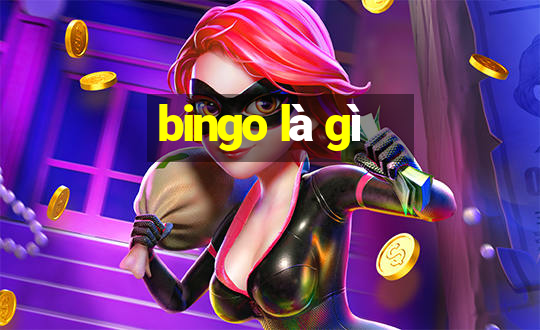 bingo là gì