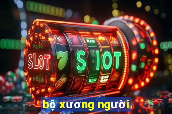 bộ xương người