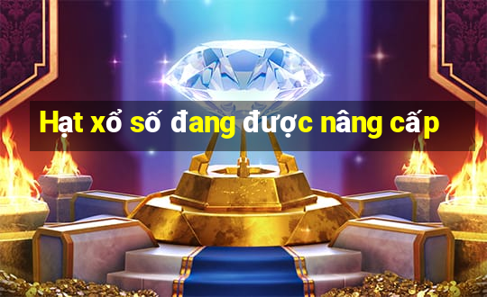 Hạt xổ số đang được nâng cấp