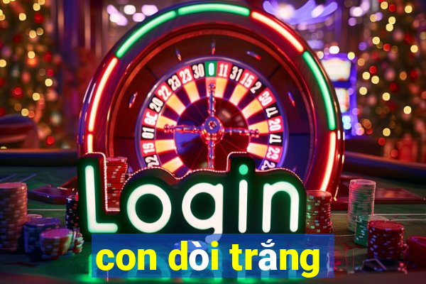 con dòi trắng