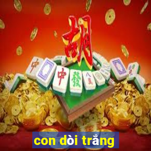 con dòi trắng