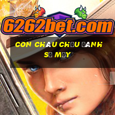 con châu chấu đánh số mấy