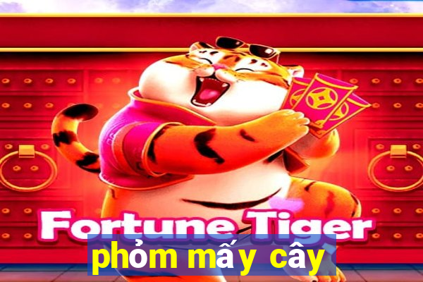 phỏm mấy cây