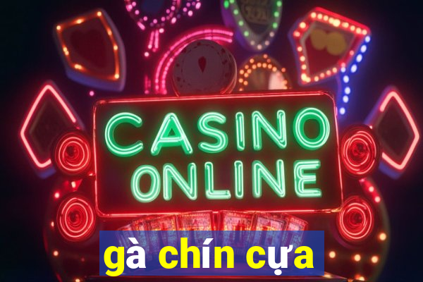 gà chín cựa