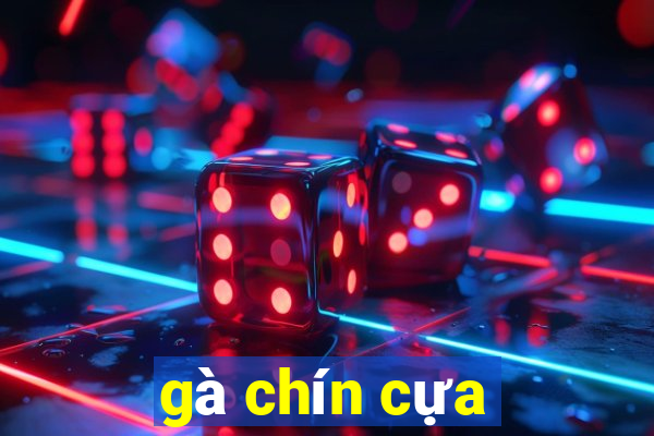 gà chín cựa