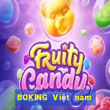 BOKING Việt nam 4975 Tải về