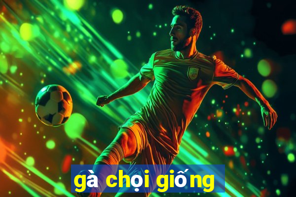 gà chọi giống