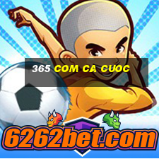 365 com ca cuoc