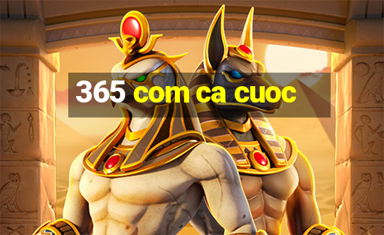 365 com ca cuoc