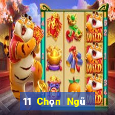 11 Chọn Ngũ Sơn Đông