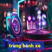 trùng bánh xe