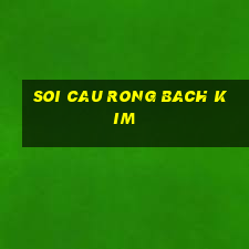 soi cau rong bach kim