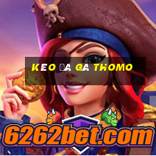 kèo đá gà thomo