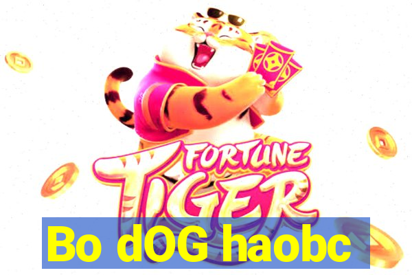 Bo dOG haobc