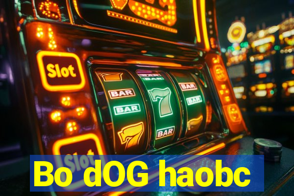 Bo dOG haobc