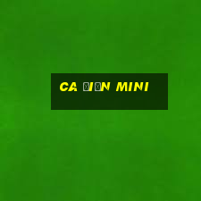 ca điện mini