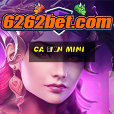 ca điện mini