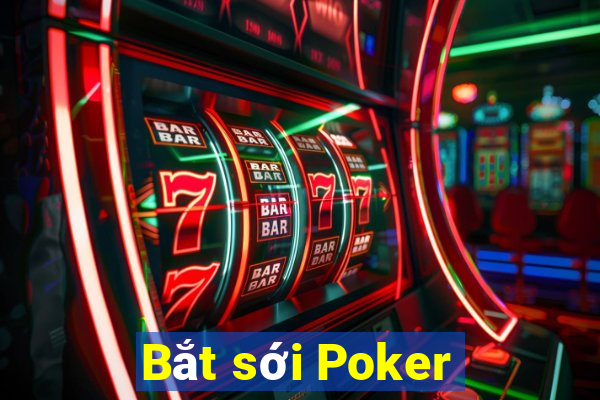 Bắt sới Poker