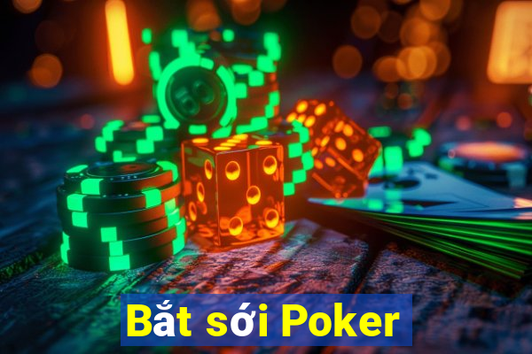 Bắt sới Poker