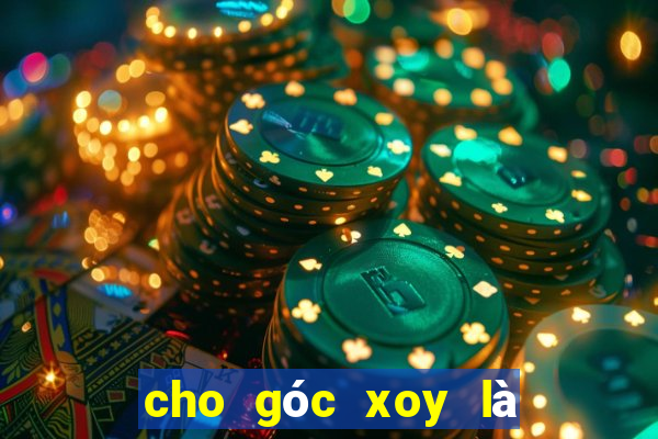 cho góc xoy là góc bẹt