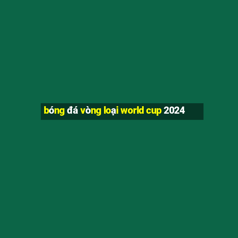 bóng đá vòng loại world cup 2024