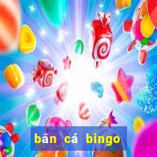 bắn cá bingo ông trùm