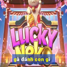 gà đánh con gì