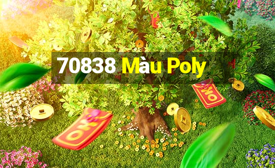 70838 Màu Poly