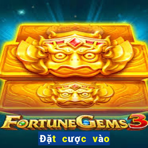 Đặt cược vào Fun88 đơn và kép