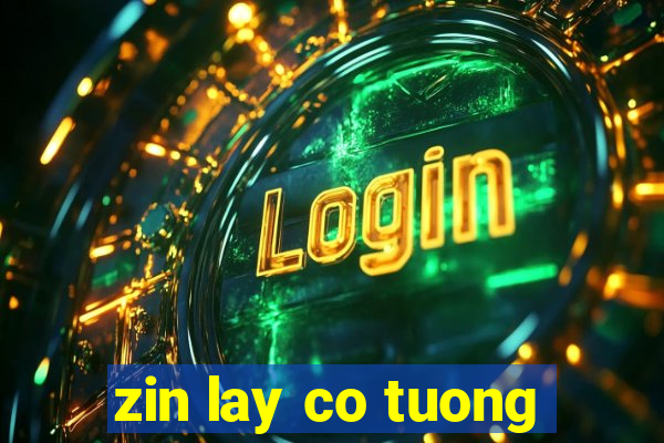 zin lay co tuong