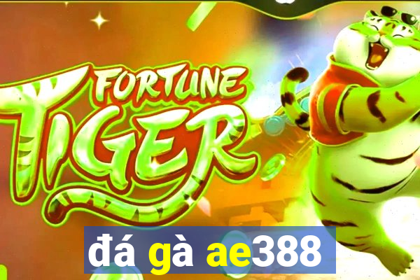 đá gà ae388