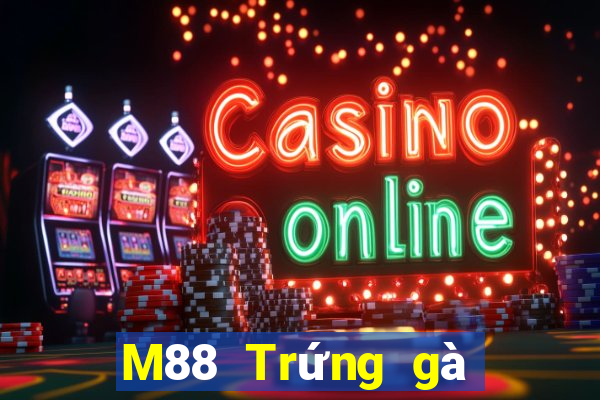 M88 Trứng gà Đắk Lắk