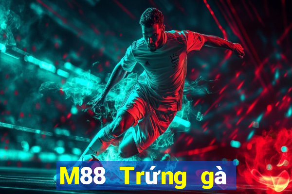 M88 Trứng gà Đắk Lắk