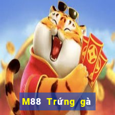 M88 Trứng gà Đắk Lắk