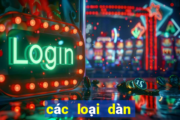 các loại dàn đặc biệt