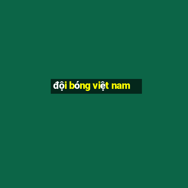 đội bóng việt nam