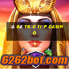 đá gà trực tiếp casino