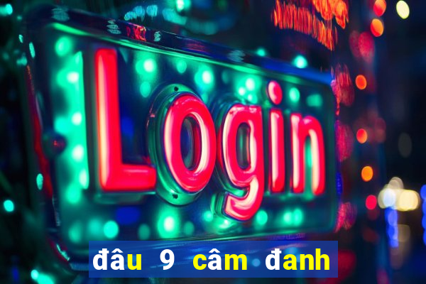 đâu 9 câm đanh con j