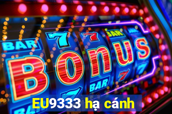 EU9333 hạ cánh