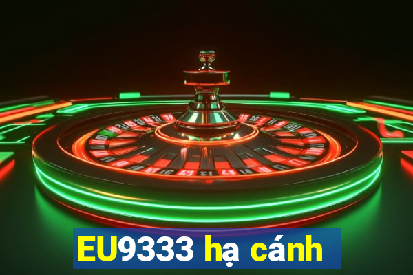 EU9333 hạ cánh