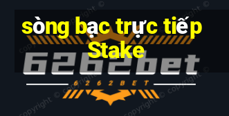 sòng bạc trực tiếp Stake