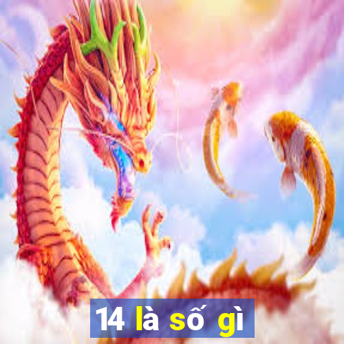 14 là số gì