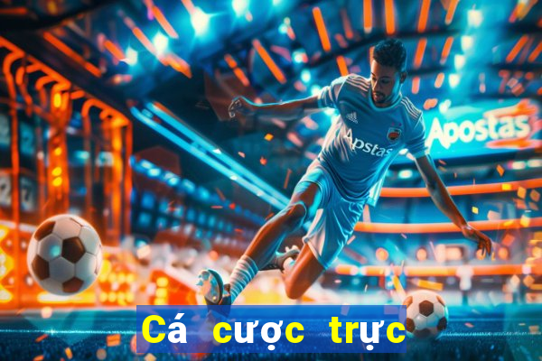 Cá cược trực tuyến oxbet