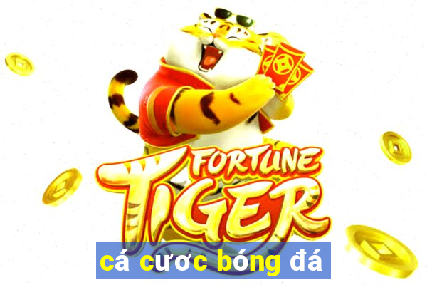 cá cươc bóng đá