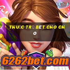 thuốc trị bét cho chó