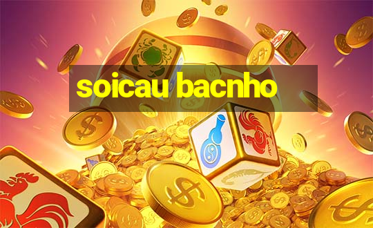 soicau bacnho