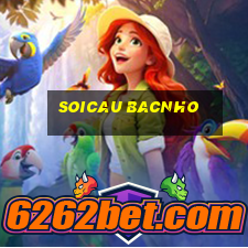 soicau bacnho