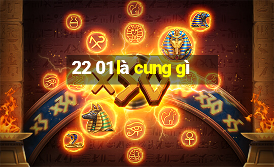 22 01 là cung gì