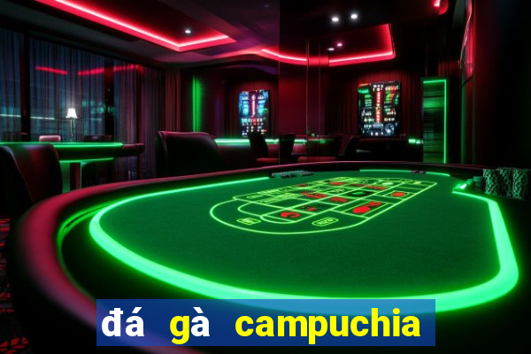 đá gà campuchia 2019 mới nhất