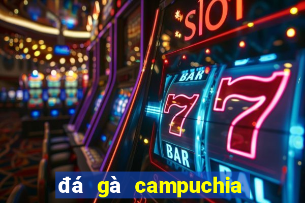 đá gà campuchia 2019 mới nhất